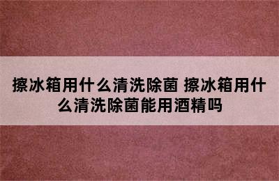 擦冰箱用什么清洗除菌 擦冰箱用什么清洗除菌能用酒精吗